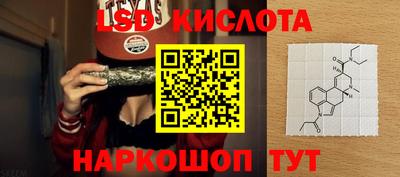 мяу мяу мука Кандалакша