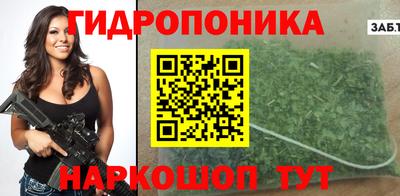 мяу мяу мука Кандалакша