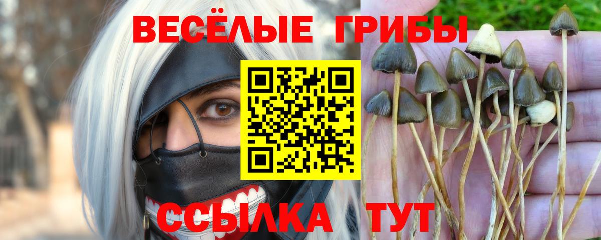 Псилоцибиновые грибы мицелий  Псилоцибиновые грибы GOLDEN TEACHER  Вход с VPN  Ликино-Дулёво 