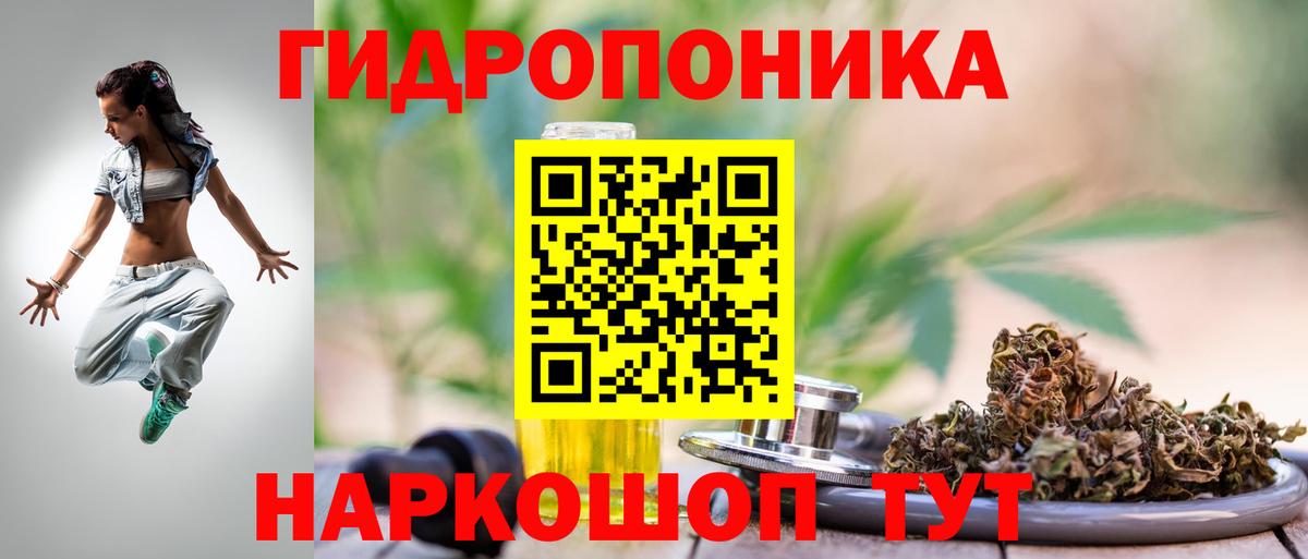 Каннабис сатива Ликино-Дулёво
